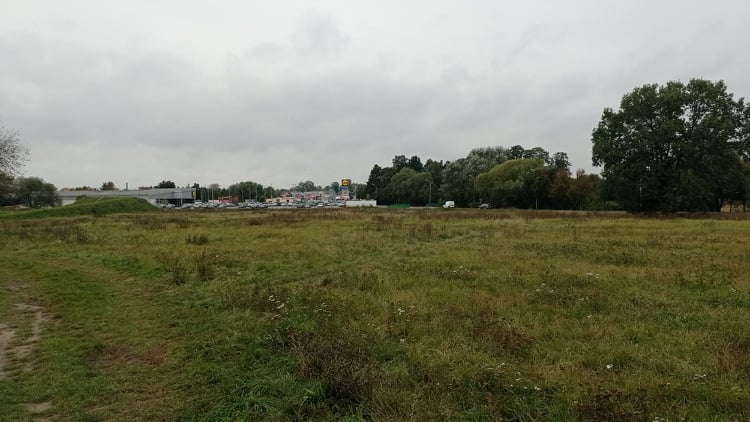 działka trawa 